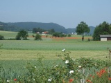 2011- 074.jpg